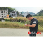 深子湖镇:多措并举强管控 秸秆禁烧显成效