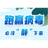 图个明白｜跑赢病毒，必须“静”下来