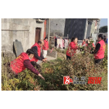 龙潭镇：在助推乡村振兴中彰显“人大担当”