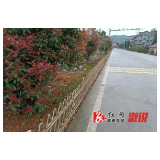 大江口镇：借力春风，助力人居环境整治
