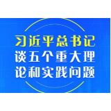 重磅！习近平总书记谈五个重大理论和实践问题