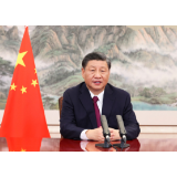 习近平“典”亮全人类共同价值｜安危不贰其志，险易不革其心