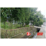 黄茅园镇：竹篱笆圈出好景色