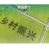 看图学习丨跟总书记共绘乡村振兴壮美画卷