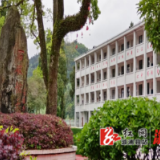 三江镇：打造“三色”文化，办出校园特色