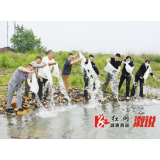 溆浦县人民法院：司法护航生态 筑牢环境屏障