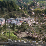 红土地上的新崛起——沿着总书记的足迹之江西篇