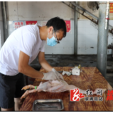 省专家团队对溆浦鹅屠宰性能进行测定