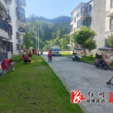 三江镇：全力提升人居环境 长思小区这样做
