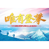 唯有登拳（5）特变电工衡变：照亮巅峰