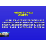 市委常委会召开会议 许忠建主持