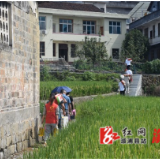 龙潭镇：乡村振兴聚合力，爱心企业显担当
