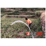 既督又战，小横垅乡纪委奋战在抗旱一线