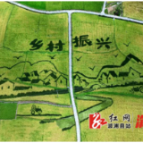 溆浦：以“四好农村路”引领建设美丽幸福乡村