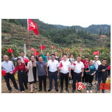 龙庄湾乡：高山猕猴桃喜获丰收 山民歌颂祖国庆丰收