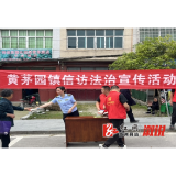 黄茅园镇：积极开展信访法治宣传活动