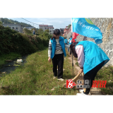 油洋乡：“志愿蓝”助力“生态绿”，“河小青”助力河长清