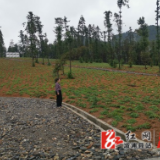 两丫坪镇深入开展市场主体走访活动 持续优化营商环境