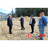 葛竹坪镇：加快山银花加工厂选址，壮大村级集体经济