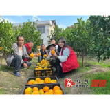 水东镇青年人才党支部：凝聚青春添活力 踔厉奋发跟党走