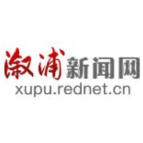 两会世界眼丨引领新征程 向着中华民族伟大复兴昂首迈进——海外华侨华人热烈祝贺习近平全票当选国家主席中央军委主席
