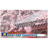新思想引领新征程丨提振信心促消费 市场回暖态势明显