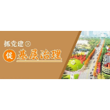 溆浦县：抓党建促基层治理