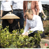 串点成线 连线成片 绘就乡村振兴美丽新画卷——郑湘到乡镇调研农村人居环境示范片创建等工作