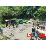 深子湖镇：抗旱救灾助农耕  干群发力解民愁