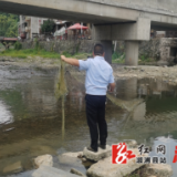 三江镇：开展清晨巡河活动，严厉打击非法捕捞行为