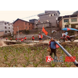 观音阁镇：助力抗旱，观音阁在行动