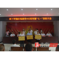 两丫坪镇表彰奖励优秀党员干部