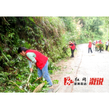 沿溪乡：清理路旁杂草，美化乡村环境