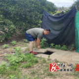卢峰镇：扎实开展农村户厕摸排整改再“回头看”，助推建设和美乡村