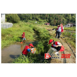 油洋乡：开展护河志愿活动，共建生态美好家园