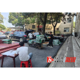 桥江镇：免费发放油菜硼肥  为农户打造助农增收“致富路”