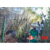 卢峰镇：绿海防火千秋业  乡镇齐心共筑安