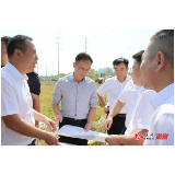 杨廉喜调研中央预算内投资项目和专项债项目建设工作