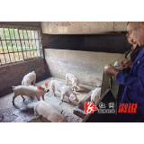 葛竹坪镇开展秋季动物防疫暨重大动物疫病“大清洗” “大消毒”专项行动