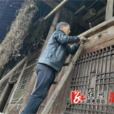 葛竹坪镇：入村帮扶解民困 暖心行动促振兴