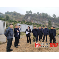 自然资源部调研组赴溆浦县调研历史遗留矿山生态修复示范工程