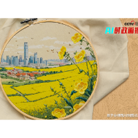 AI时政画报｜“绣花”，出彩！