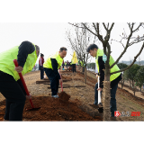 全面落实省总林长令 为美丽溆浦添新绿——郑湘杨廉喜等参加全县义务植树活动