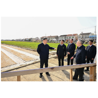 图集｜习近平走进农田考察春耕备耕情况