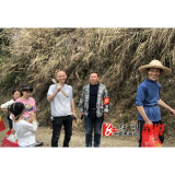 溆浦县政协各委员工作室开展“文明祭祀·绿色清明”主题宣传活动