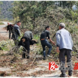 中都乡：森林防火与人居环境整治行动两手抓