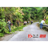 沿溪乡：道路两边全清理 确保安全美环境