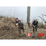 龙庄湾乡：春耕生产正当时 山间地头抢先机