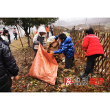 龙庄湾乡：积极开展学雷锋文明实践行动