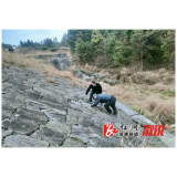 葛竹坪镇：扎实开展汛前隐患大排查